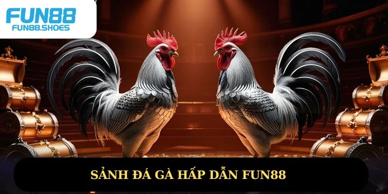 Sảnh đá gà nhà cái Fun88