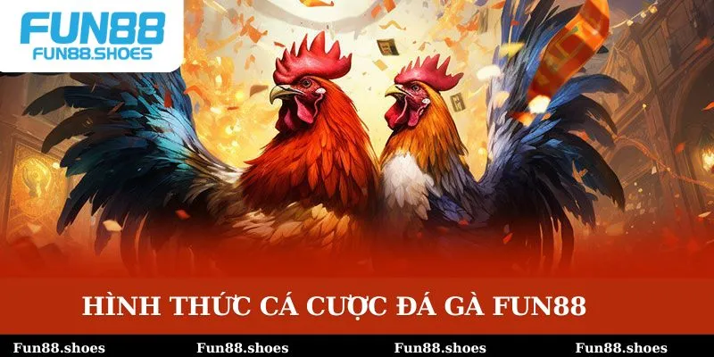 Hình thức đá gà Fun88