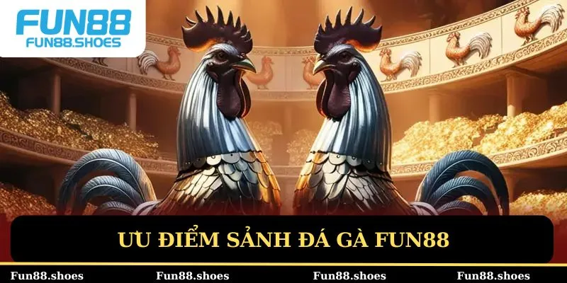 Ưu điểm sảnh đá gà Fun88